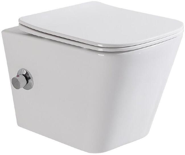 Унитаз подвесной безободковый с сиденьем и функцией биде BelBagno DUE BB3103CHR-BS/SC купить в Москве по цене 22 690 руб.