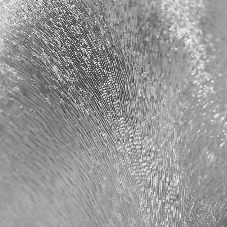 uno_195_a_2_90_ch_cr_6.jpg